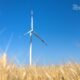 Powering the Future: LEITWIND's Customizable Wind Turbines