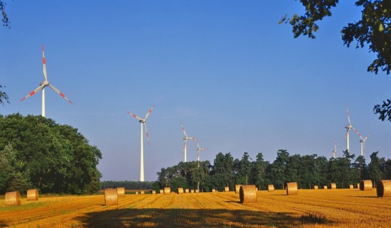 Greenpeace Energy ve QUADRA Enerji işbirliği