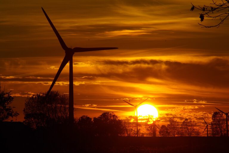 Uluslararası Enerji Ajansı, yenilenebilir enerji üzerine çarpıcı 2019 raporunu yayınladı