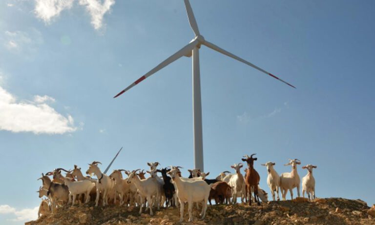 10.6 Rüzgâr Enerji Santrallerinde Karbon Piyasası ve İklim Değişikliğine Etkisi
